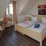 08 Seemoewe Mit Blick Auf Salzhaff Und Ostsee *
