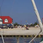 08 Seemoewe Mit Blick Auf Salzhaff Und Ostsee Rerik