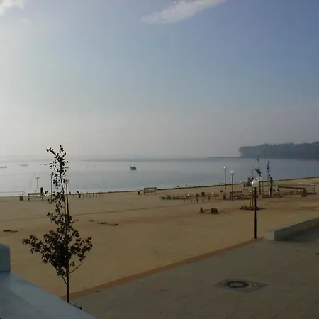 08 Seemoewe Mit Blick Auf Salzhaff Und Ostsee * Rerik