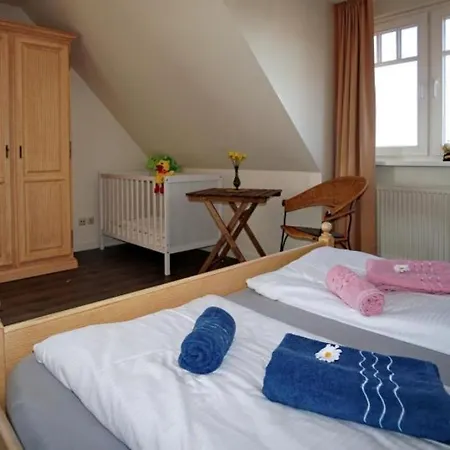 08 Seemoewe Mit Blick Auf Salzhaff Und Ostsee *