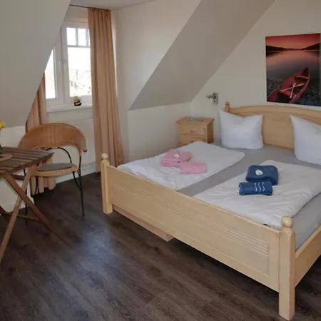 08 Seemoewe Mit Blick Auf Salzhaff Und Ostsee *