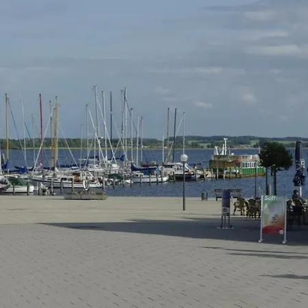 08 Seemoewe Mit Blick Auf Salzhaff Und Ostsee *