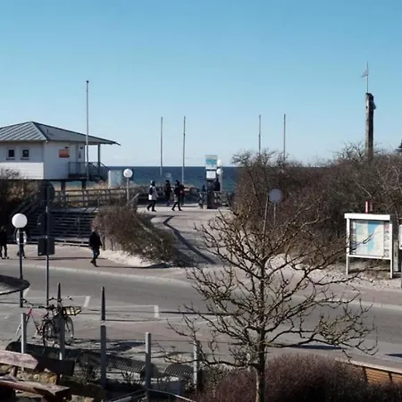 08 Seemoewe Mit Blick Auf Salzhaff Und Ostsee Рерик
