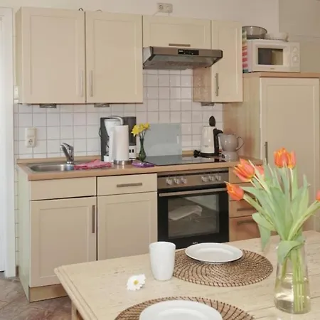 08 Seemoewe Mit Blick Auf Salzhaff Und Ostsee