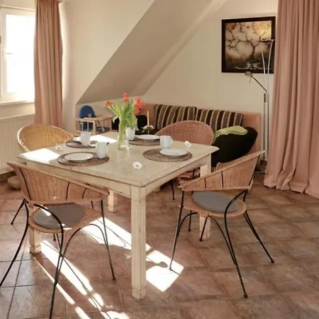 08 Seemöwe Mit Blick Auf Salzhaff Und Ostsee Apartment *