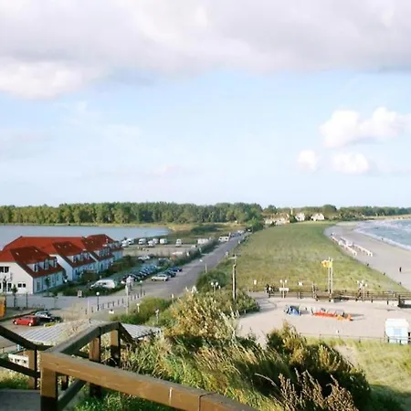 08 Seemoewe Mit Blick Auf Salzhaff Und Ostsee *