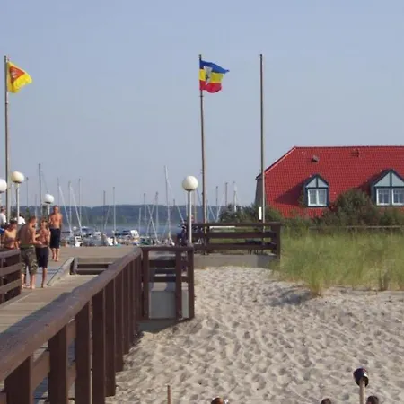 08 Seemoewe Mit Blick Auf Salzhaff Und Ostsee Apartmán